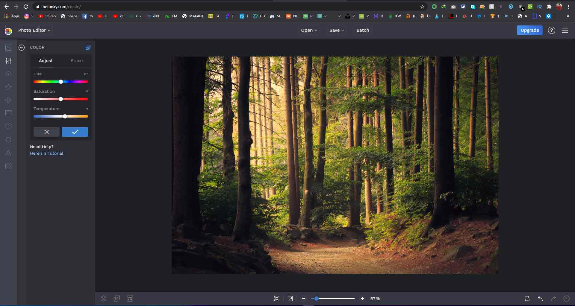 How to use Photoshop Without Downloading