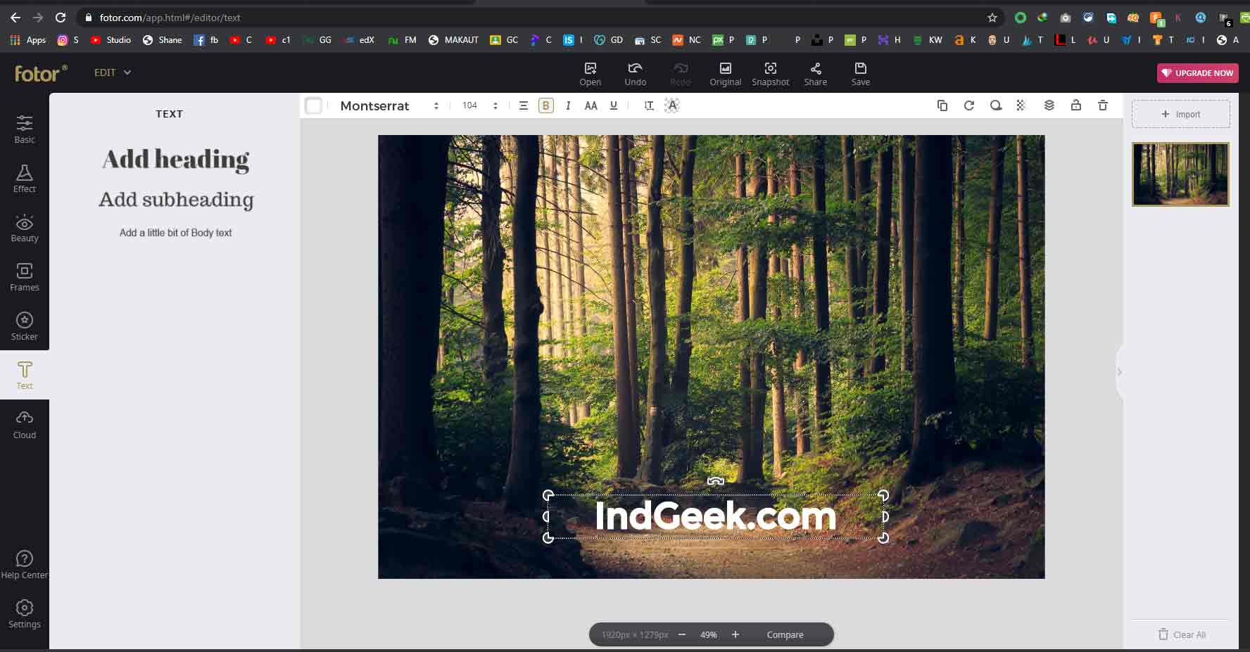 How to use Photoshop Without Downloading