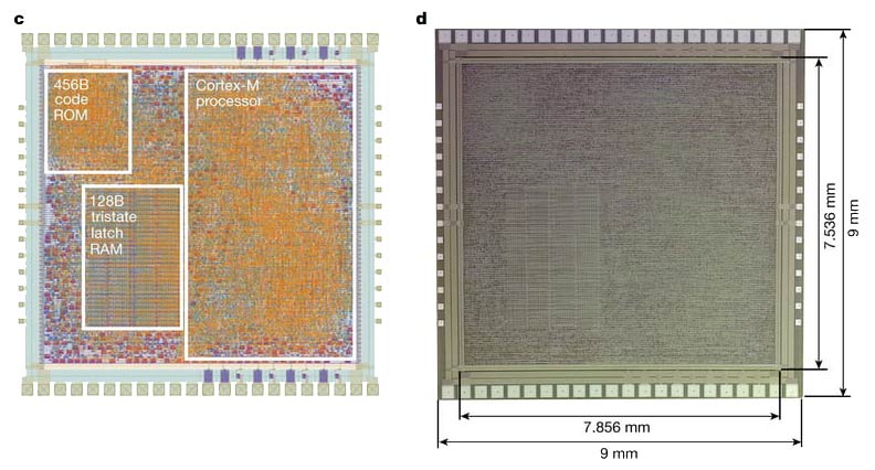 How PlasticARM Flexible chips can reshape the Future